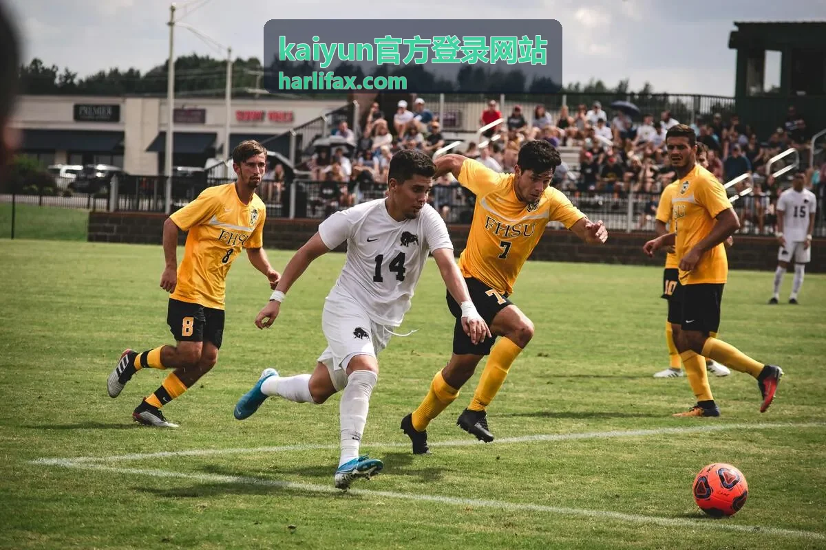 账号安全与版本更新中的登录安全项核对界面示意