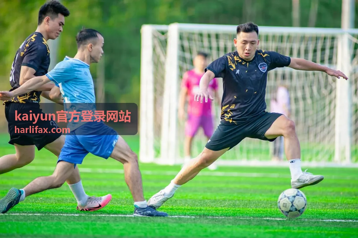 kaiyun官方登录网站 移动端扫码登录流程演示