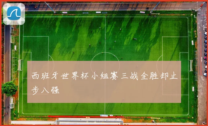 西班牙世界杯小组赛三战全胜却止步八强