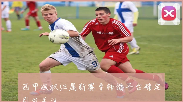 西甲版权归属新赛季转播平台确定引发关注