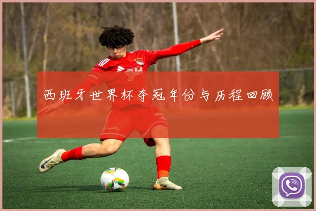 西班牙世界杯夺冠年份与历程回顾