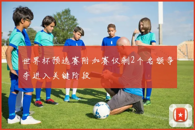世界杯预选赛附加赛仅剩2个名额争夺进入关键阶段