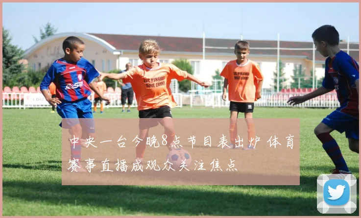 中央一台今晚8点节目表出炉 体育赛事直播成观众关注焦点