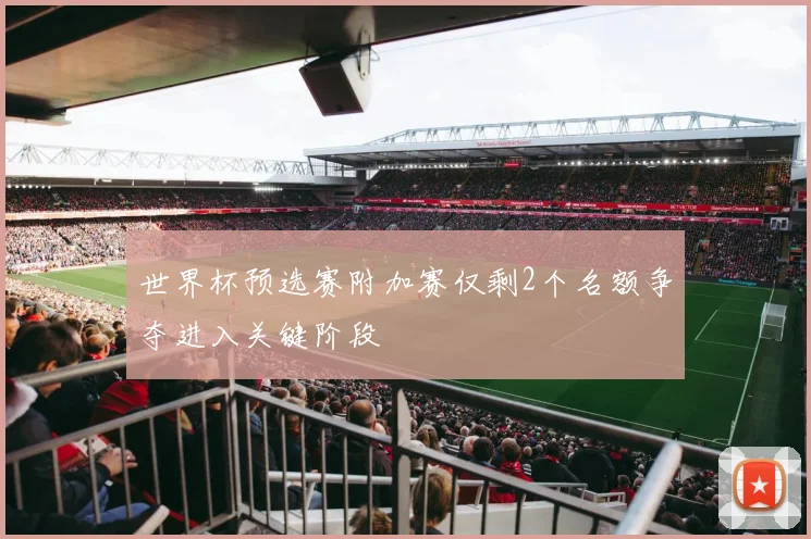 世界杯预选赛附加赛仅剩2个名额争夺进入关键阶段