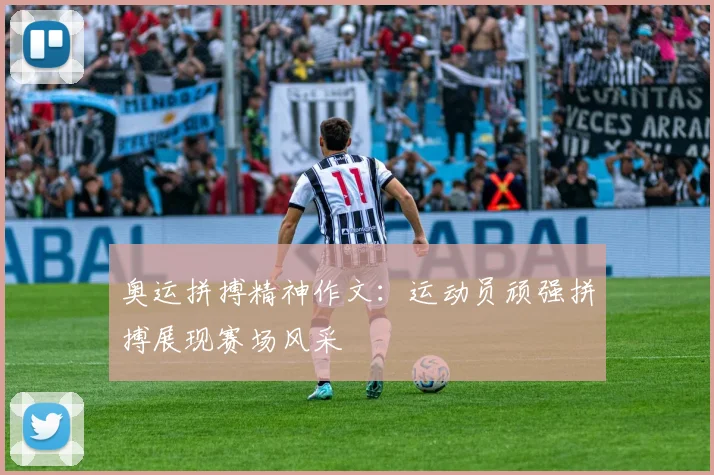奥运拼搏精神作文：运动员顽强拼搏展现赛场风采