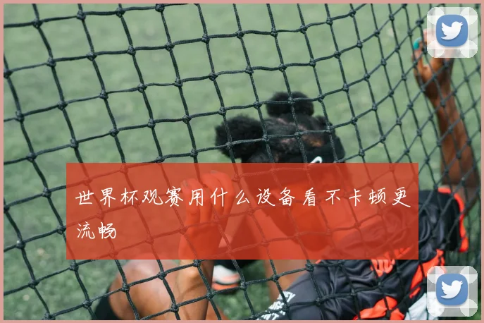 世界杯观赛用什么设备看不卡顿更流畅