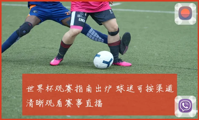 世界杯观赛指南出炉 球迷可按渠道清晰观看赛事直播