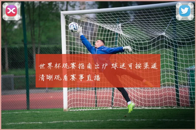 世界杯观赛指南出炉 球迷可按渠道清晰观看赛事直播