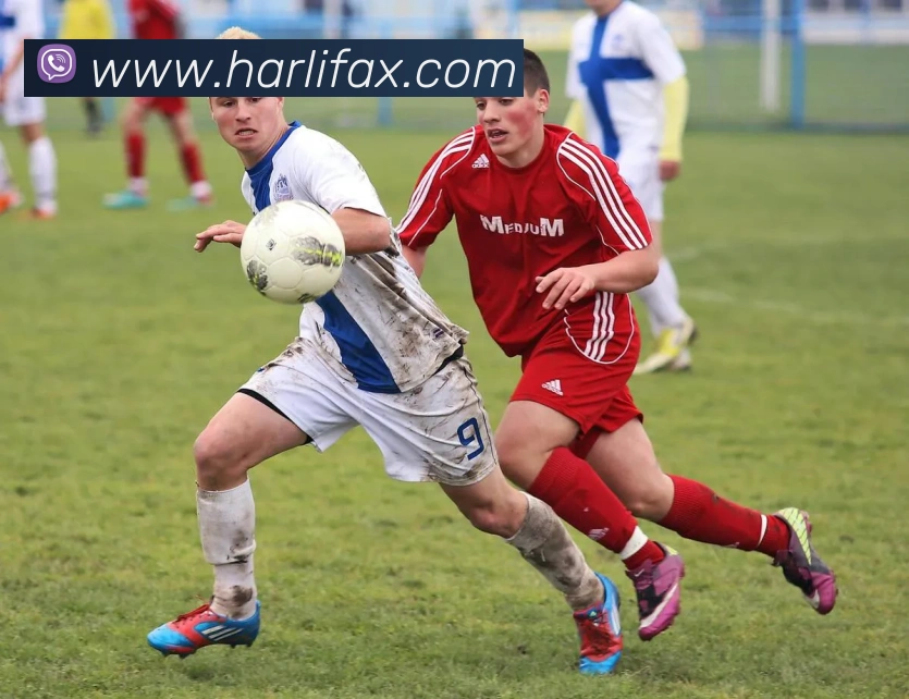 易倍emc中文官网发展历程